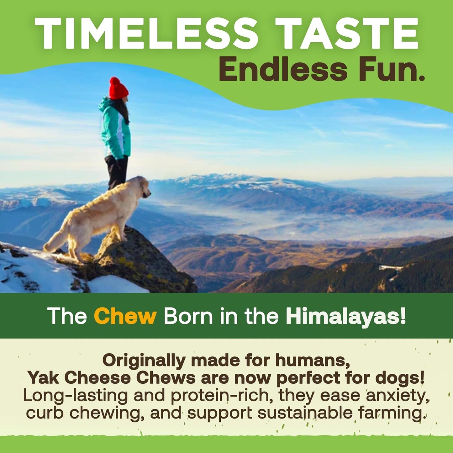 Gold Yak Chews Himalayan Milk Chews for Large Dogs